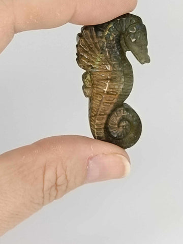 Labradorite Seahorse Carving (#4474)