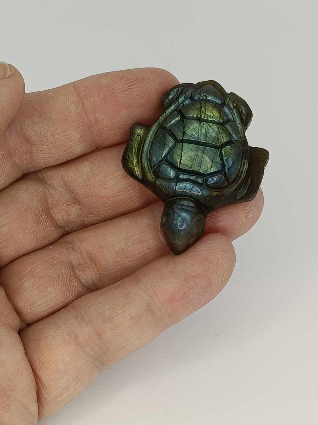 Labradorite Turtle Carving (#4489)