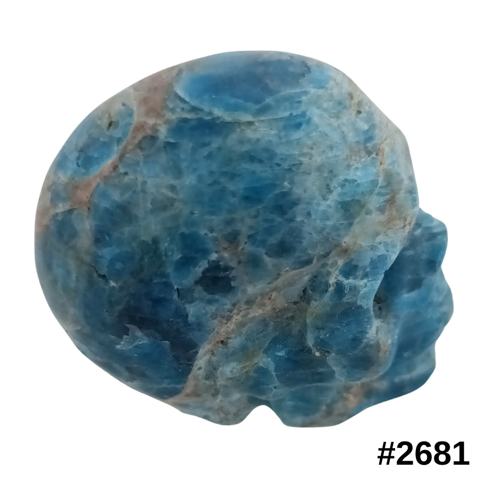 #stock-number_2681