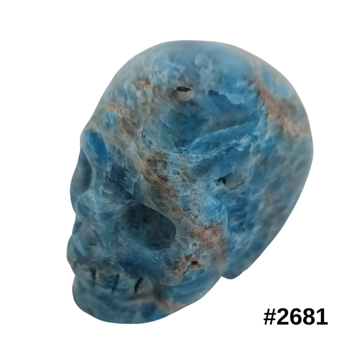 #stock-number_2681