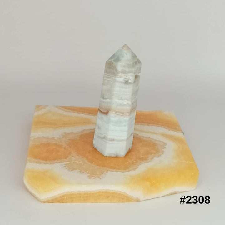 #stock-number_2308