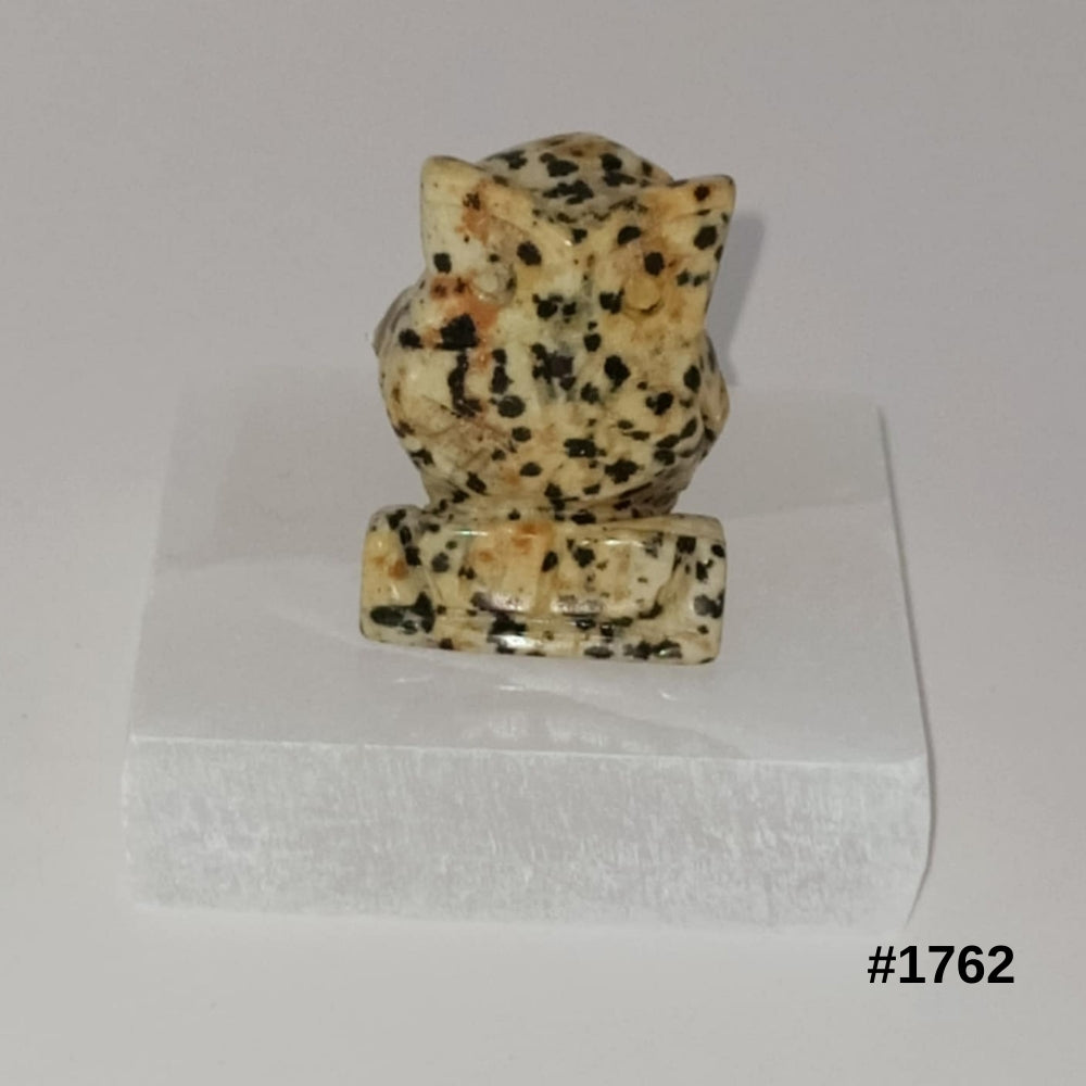 #stock-number_1762