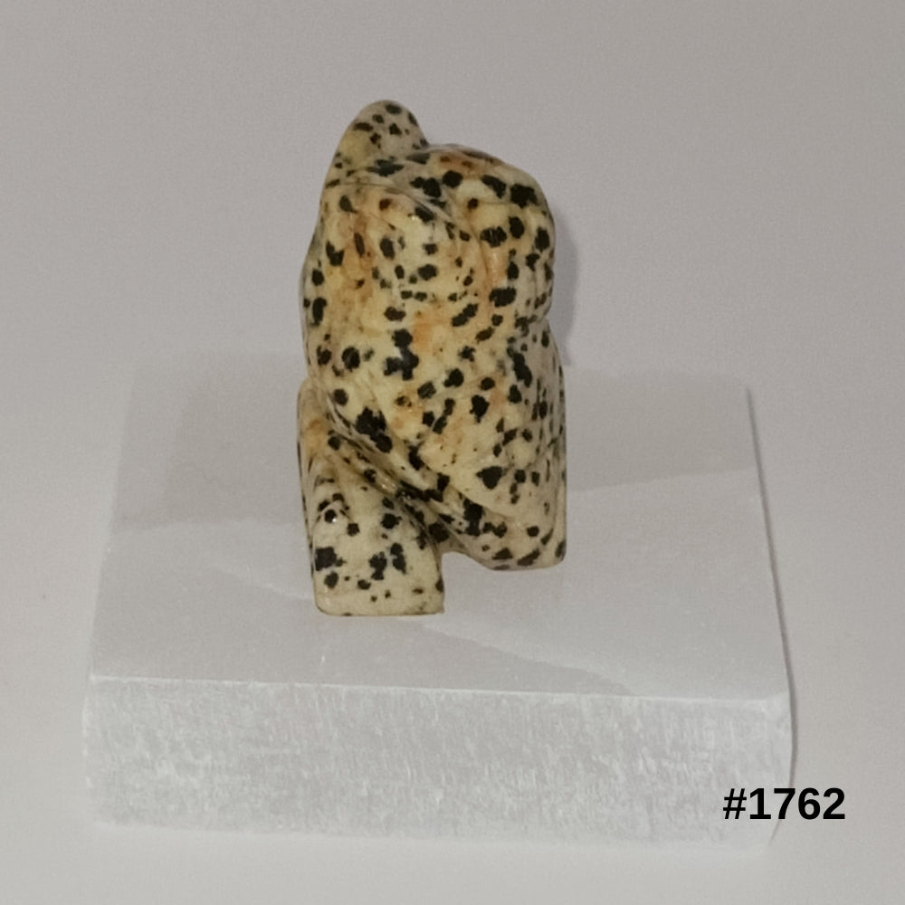 #stock-number_1762