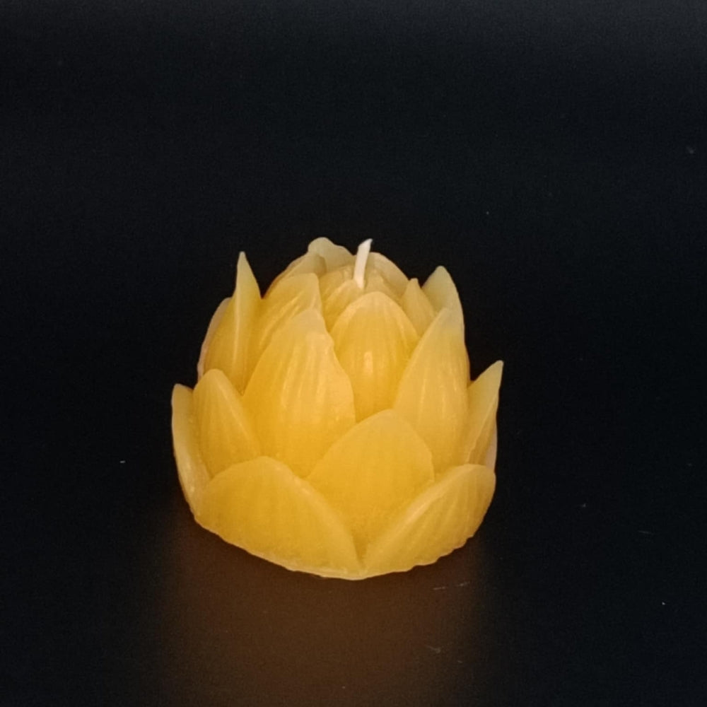 Hand-poured pure Australian beeswax lotus flower candle with detailed petal moulding by Suz E Bee Candles, Port Stephens NSW