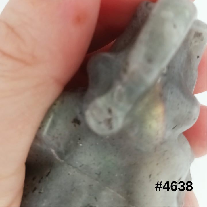 #stock-number_4638