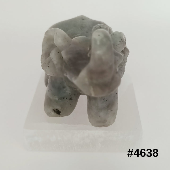 #stock-number_4638