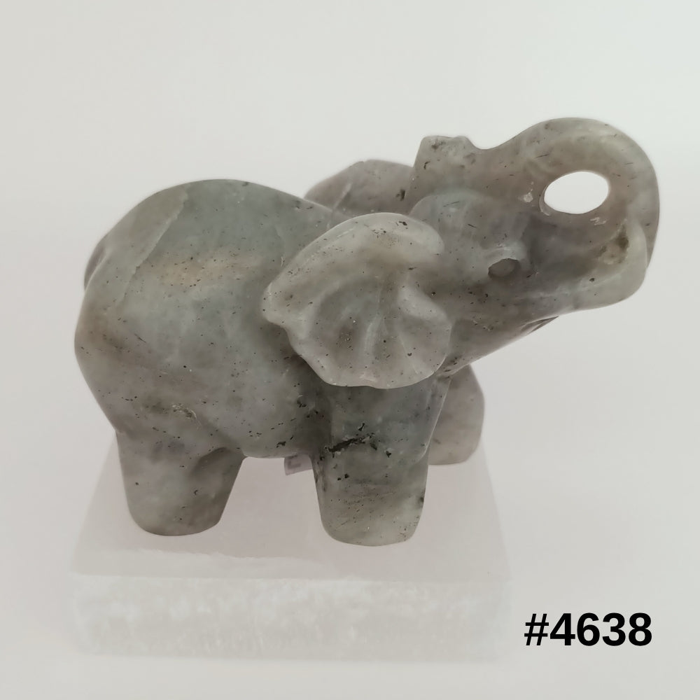 #stock-number_4638