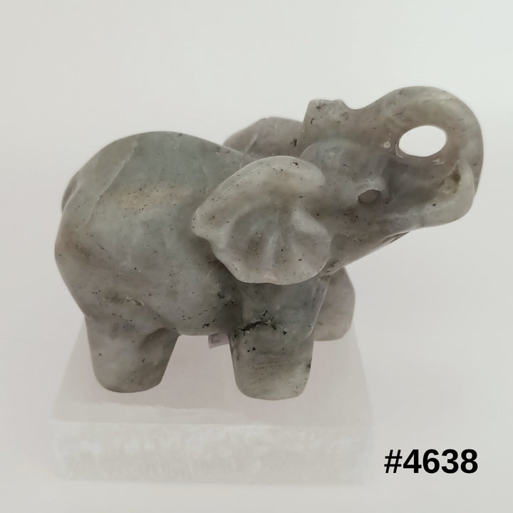 #stock-number_4638