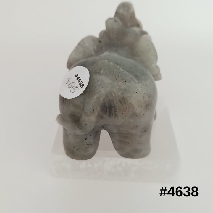#stock-number_4638