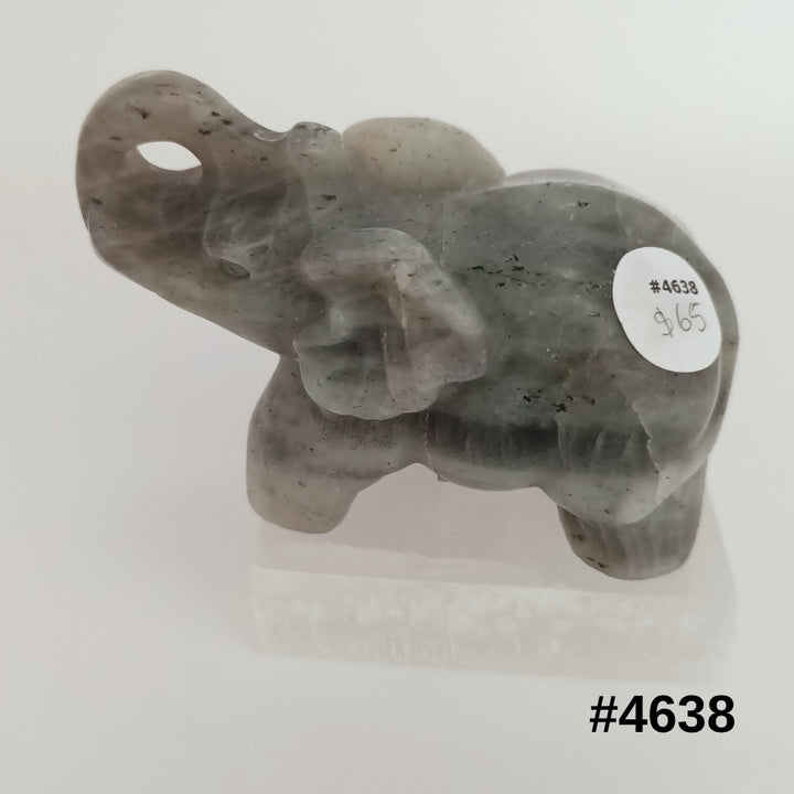 #stock-number_4638