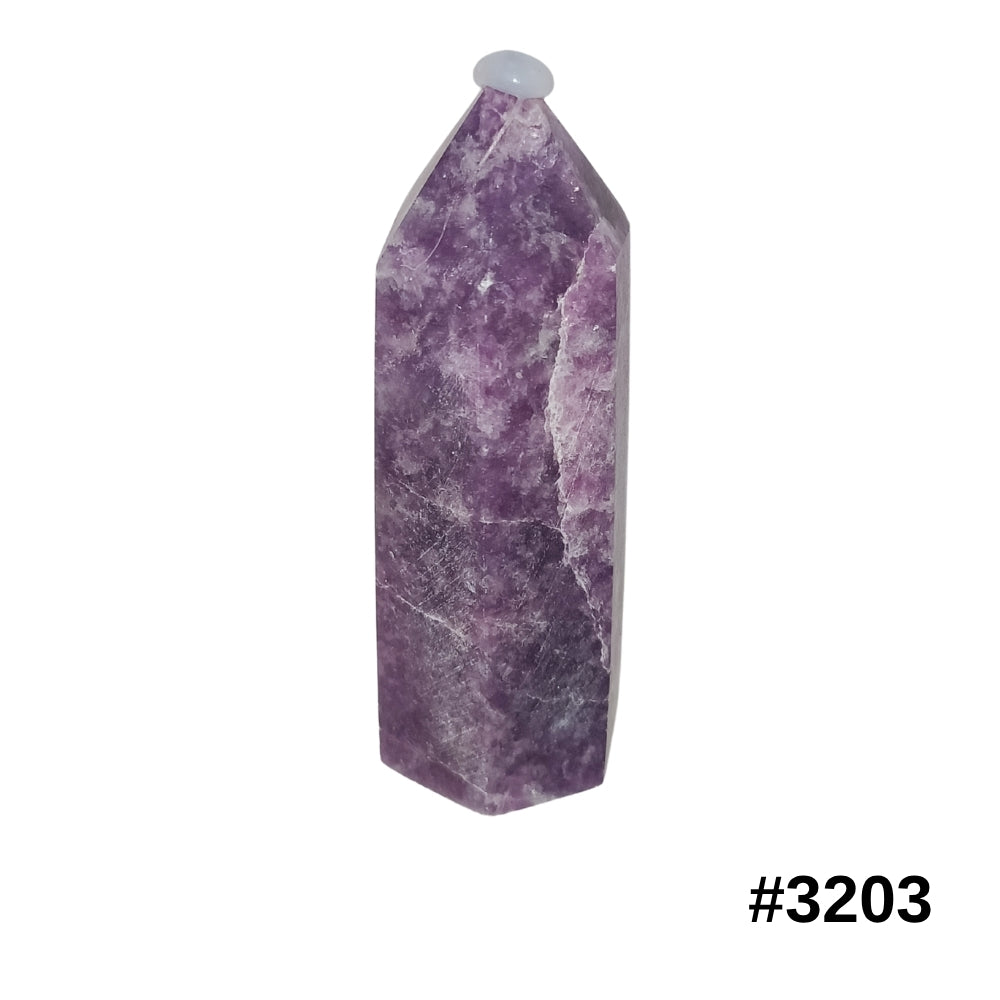 #stock-number_3203