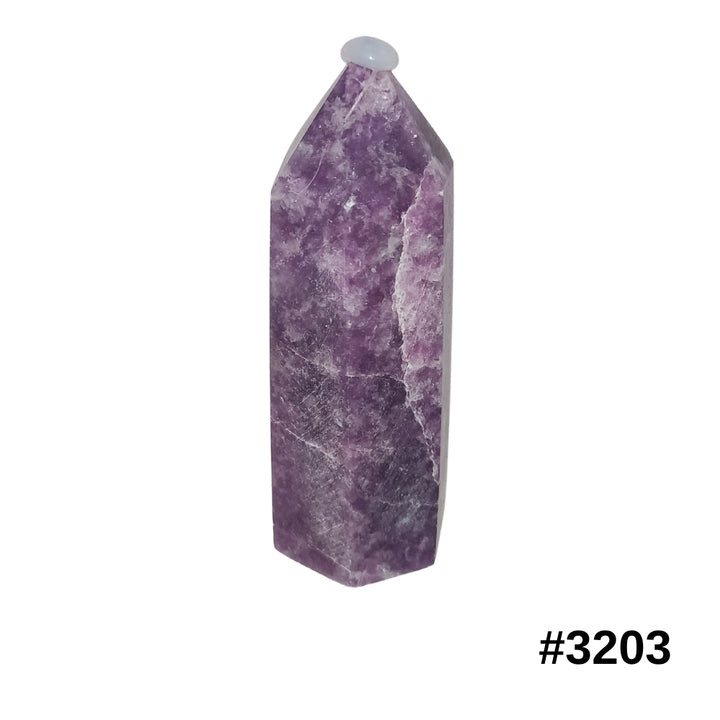 #stock-number_3203
