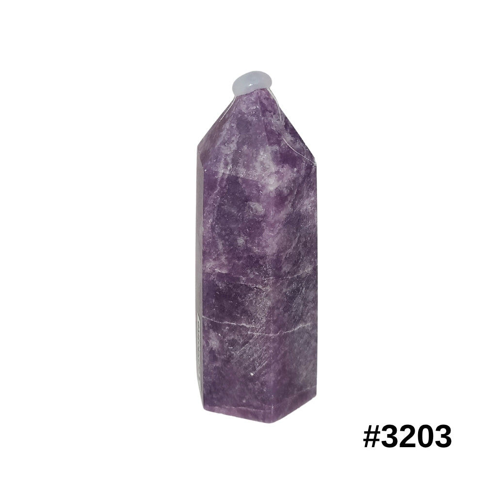 #stock-number_3203