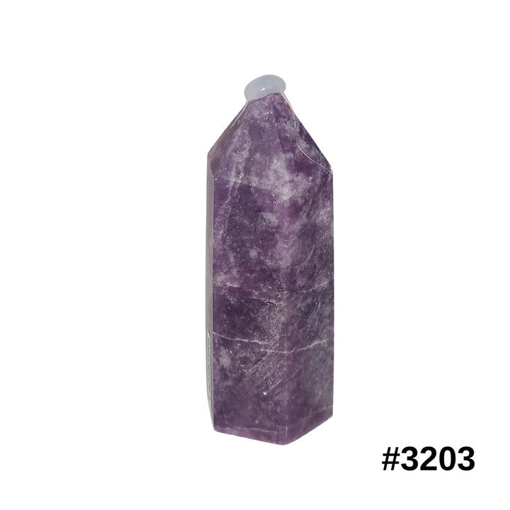 #stock-number_3203