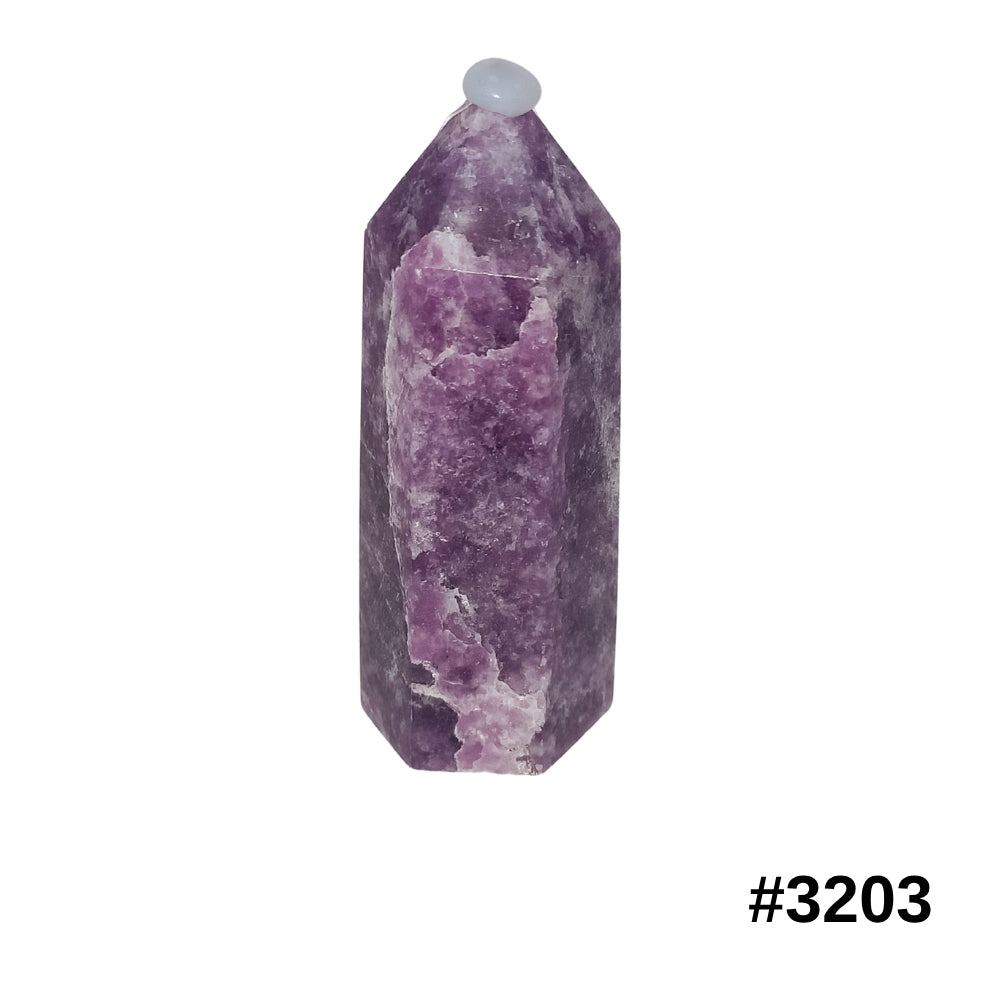 #stock-number_3203