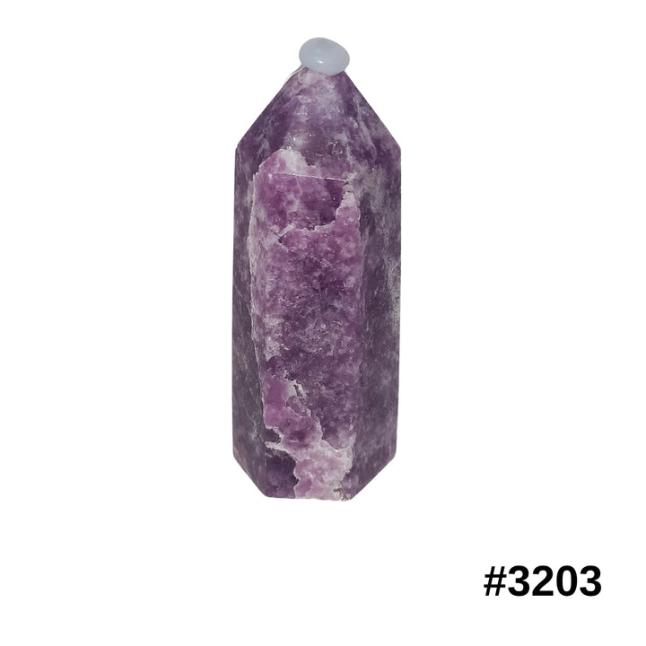 #stock-number_3203