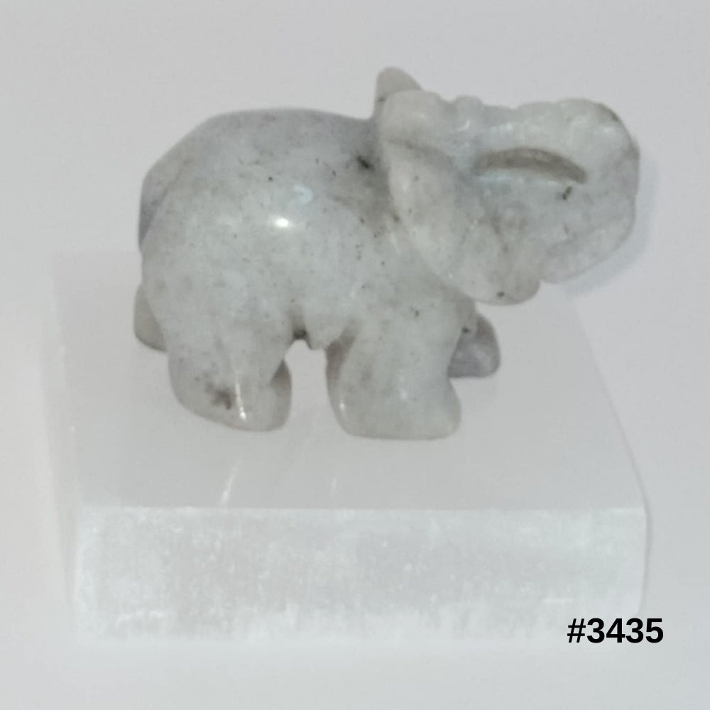 #stock-number_3435