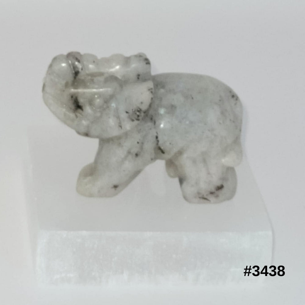 #stock-number_3438
