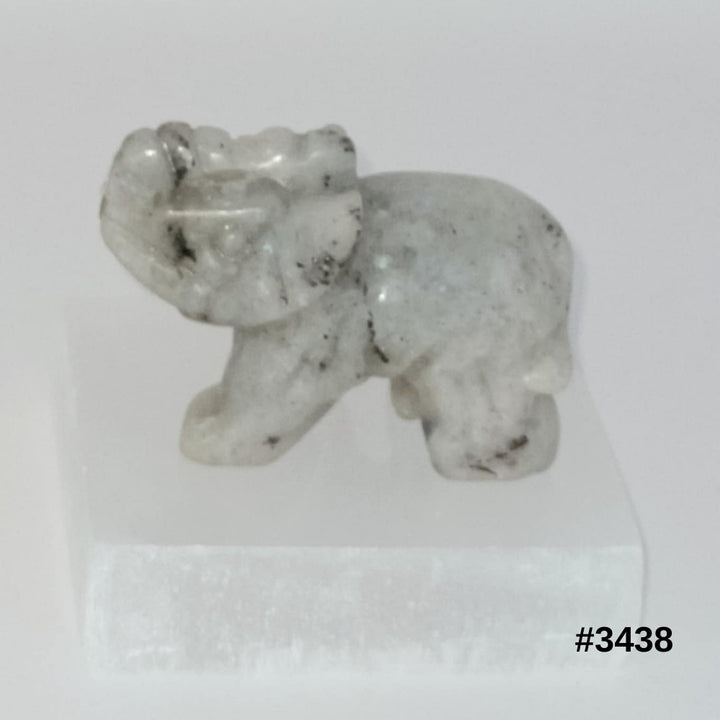 #stock-number_3438