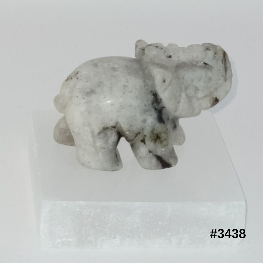 #stock-number_3438