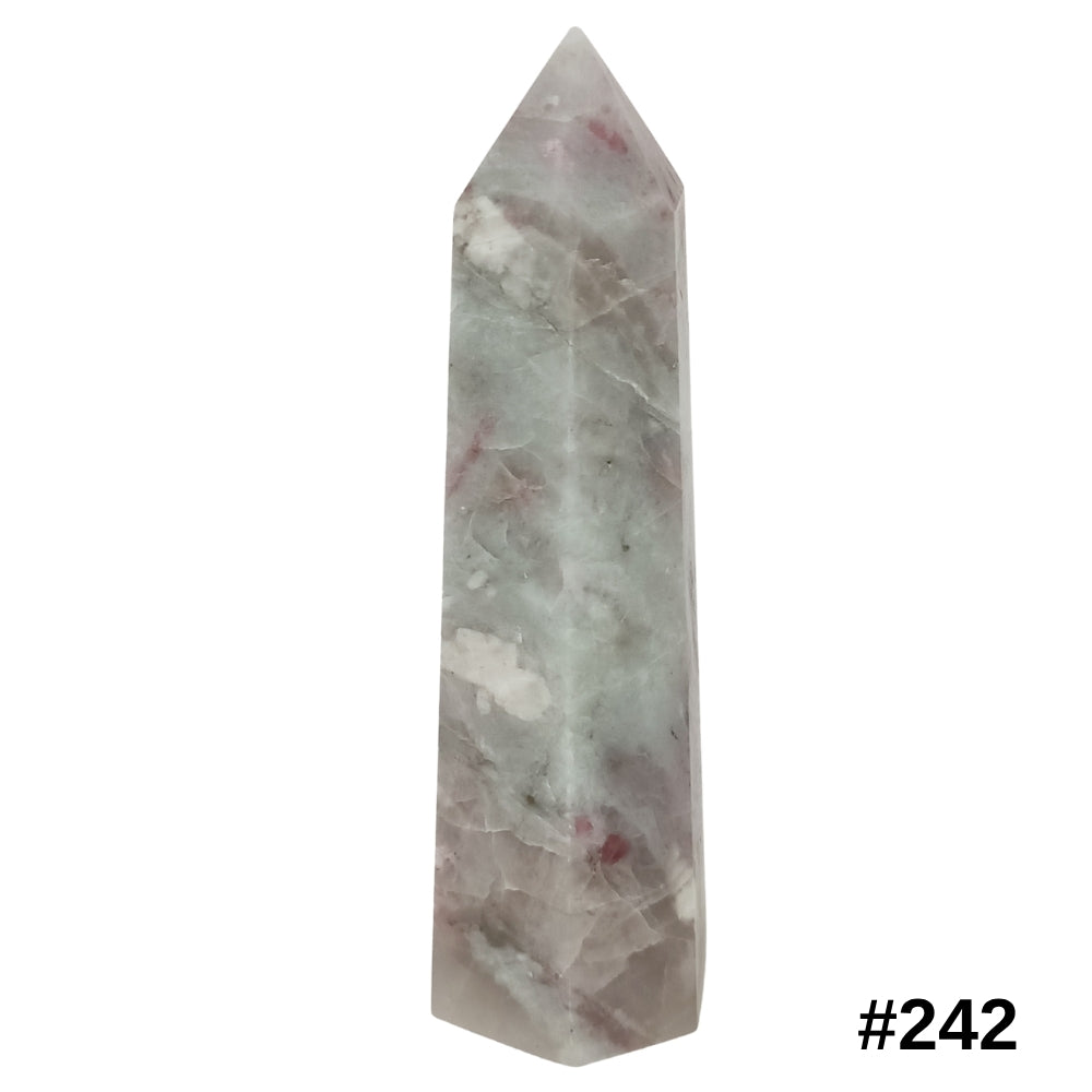 #stock-number_242