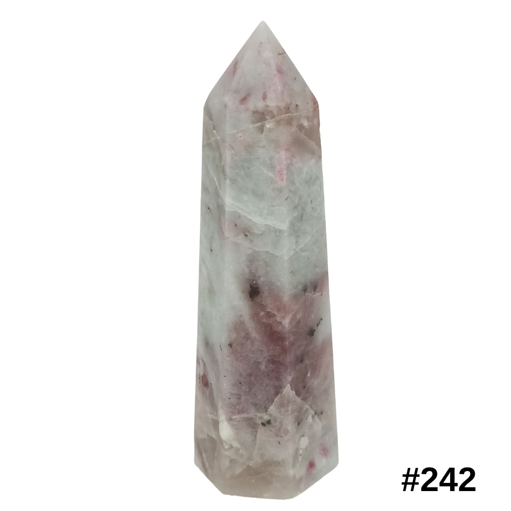 #stock-number_242