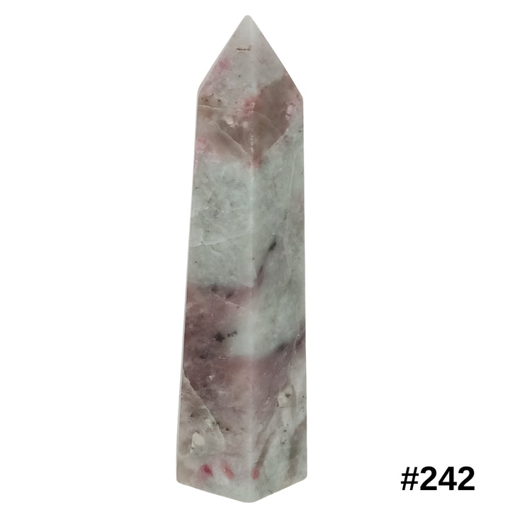 #stock-number_242