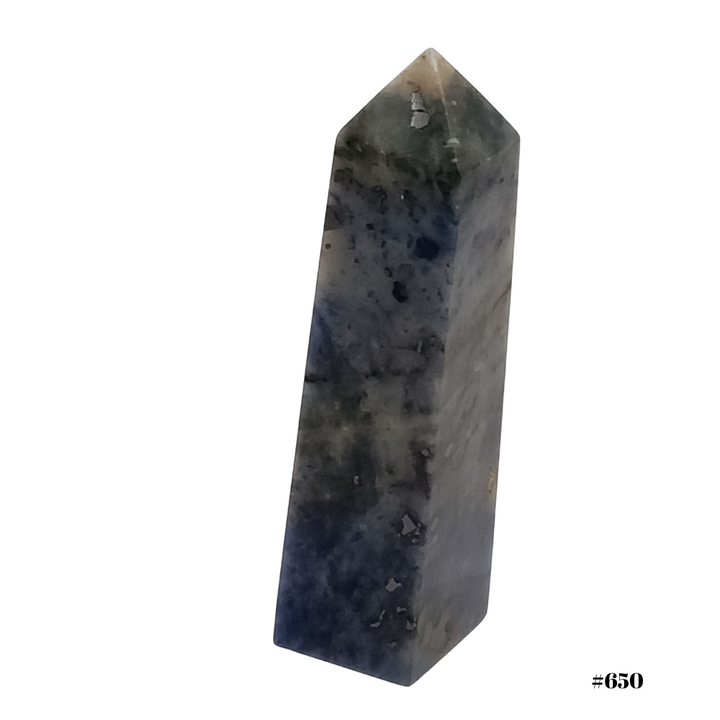 #stock-number_650