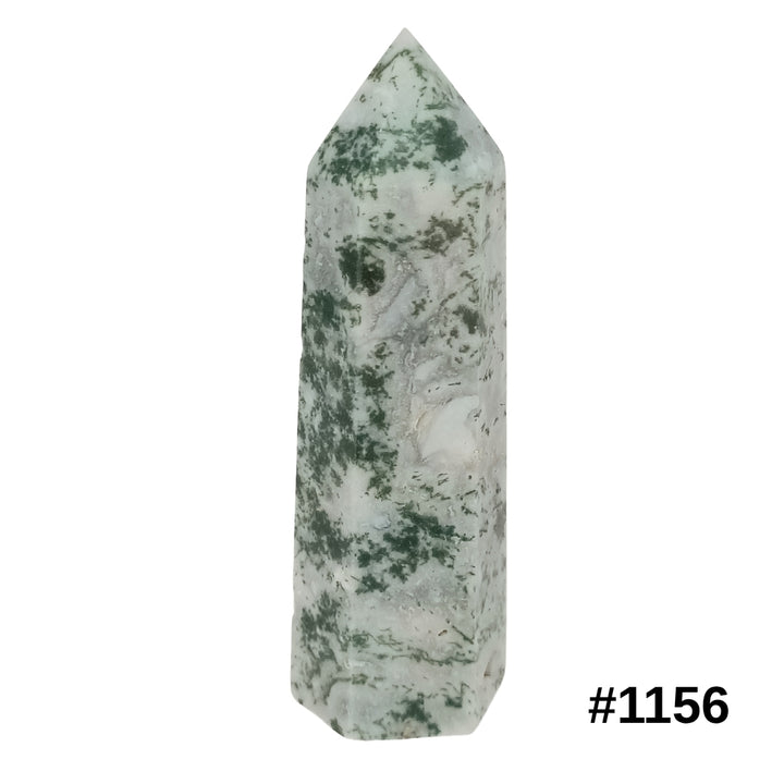 #stock-number_1156