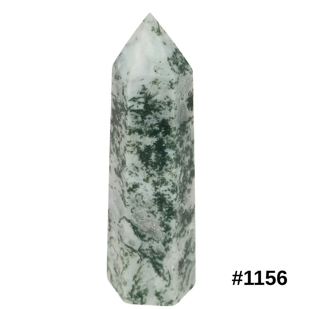 #stock-number_1156