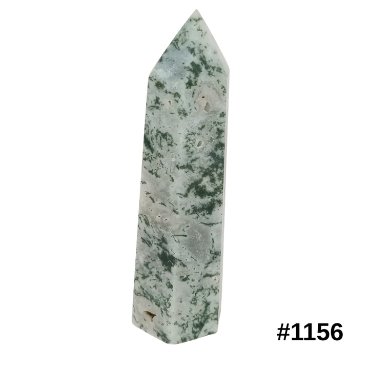 #stock-number_1156