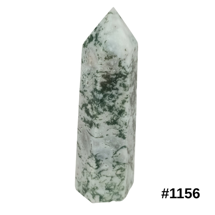 #stock-number_1156