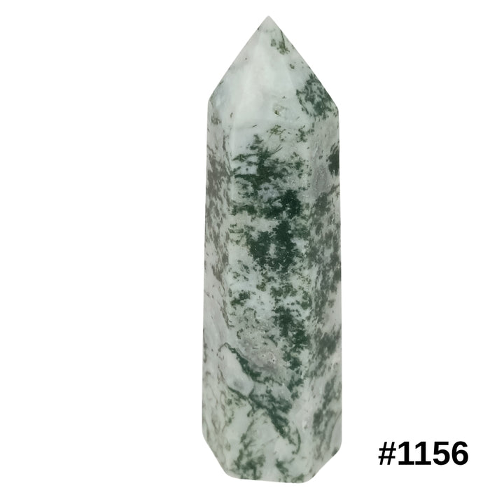 #stock-number_1156