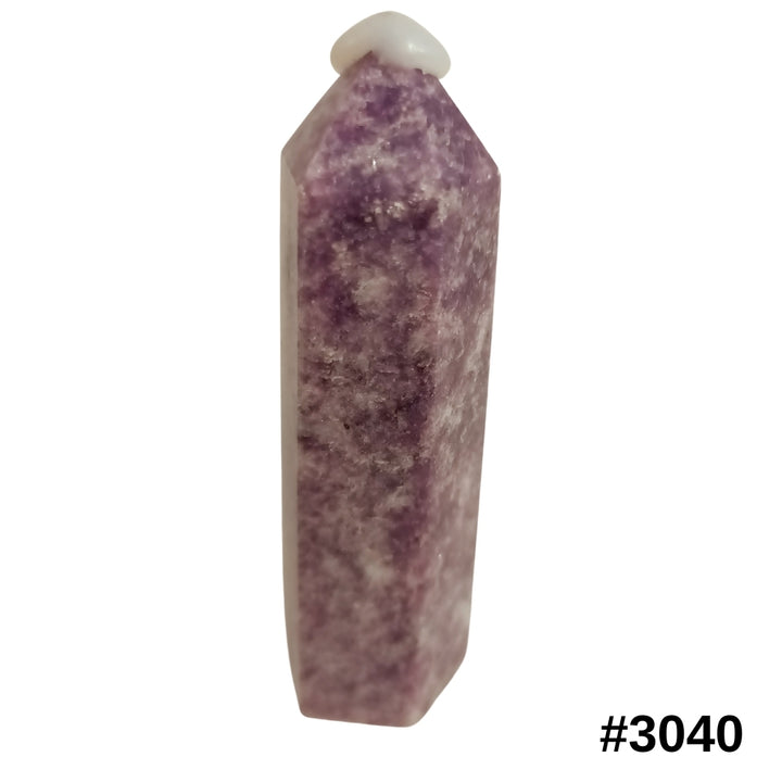 #stock-number_3040
