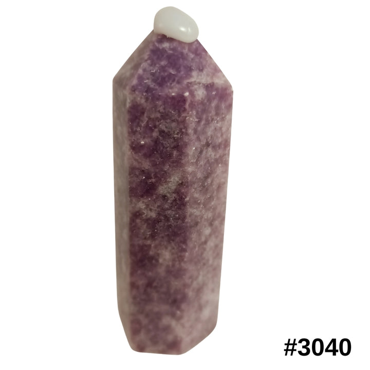 #stock-number_3040